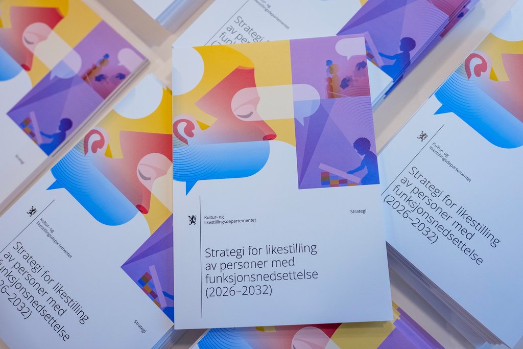 Regjeringen vil fjerne hets av personer med funksjonsnedsettelse